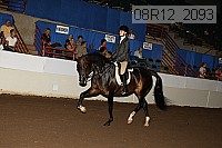 08r12_2093 proof