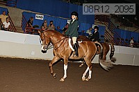 08r12_2095 proof