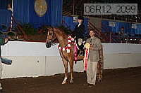 08r12_2099 proof