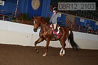 08r12_2103 proof