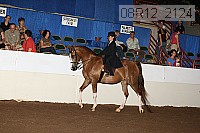 08r12_2124 proof