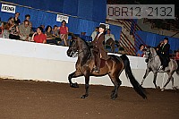 08r12_2132 proof