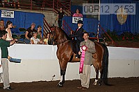 08r12_2153 proof