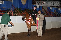 08r12_2156 proof