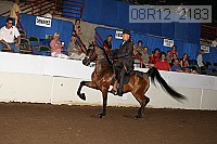 08r12_2183 proof