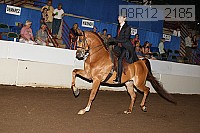 08r12_2185 proof