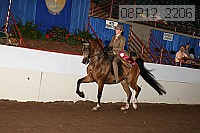 08r12_2206 proof