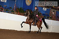 08r12_2211 proof