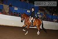 08r12_2228 proof