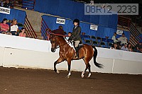 08r12_2233 proof