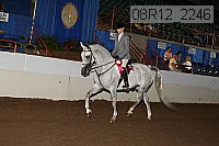 08r12_2246 proof