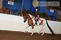 08r12_2250 proof