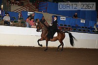 08r12_2267 proof