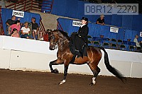 08r12_2270 proof