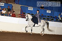 08r12_2271 proof