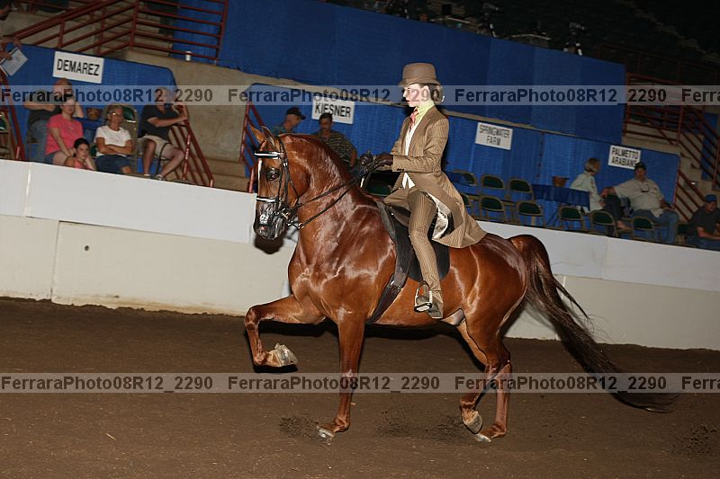 Proof 08r12_2290