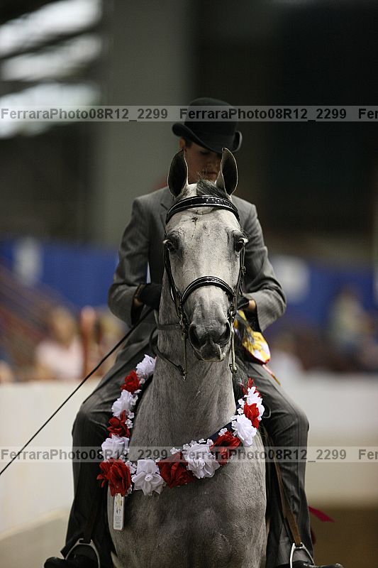 Proof 08r12_2299