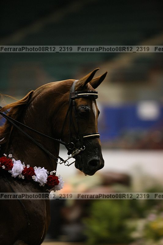 Proof 08r12_2319