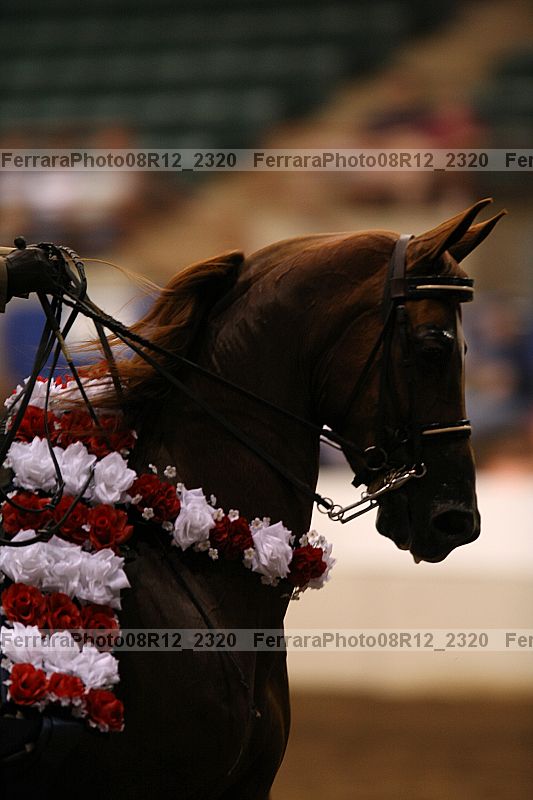 Proof 08r12_2320