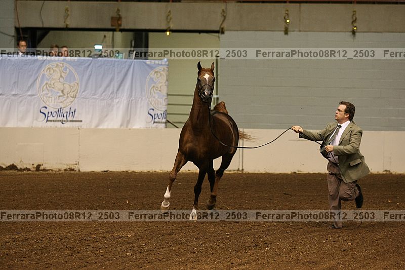 Proof 08r12_2503