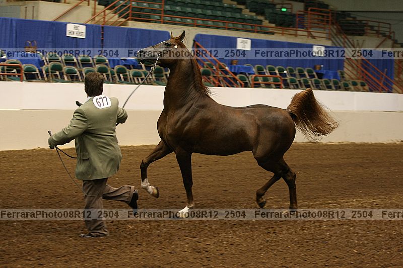 Proof 08r12_2504