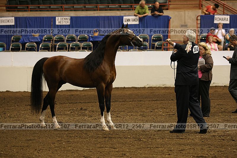 Proof 08r12_2507
