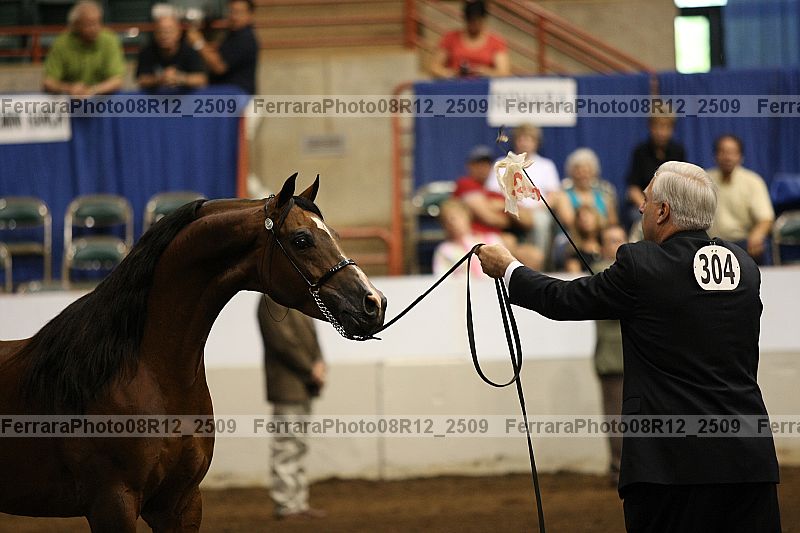 Proof 08r12_2509