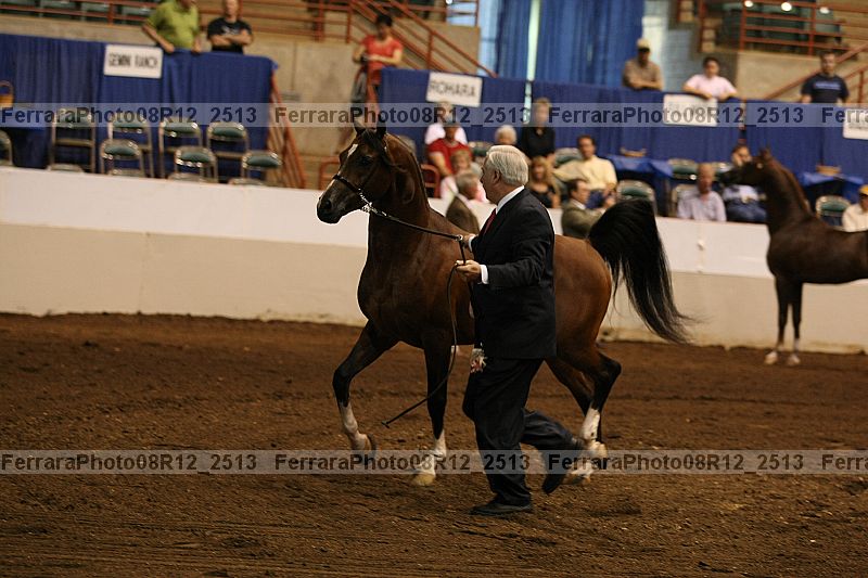 Proof 08r12_2513