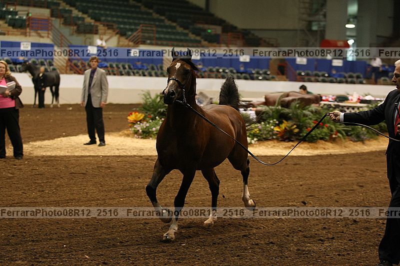 Proof 08r12_2516