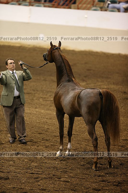 Proof 08r12_2519