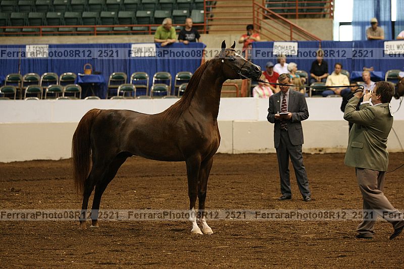 Proof 08r12_2521
