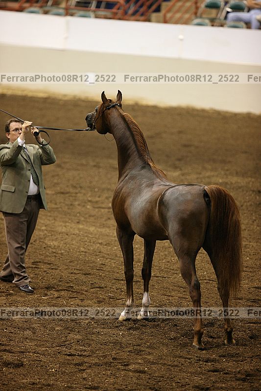 Proof 08r12_2522