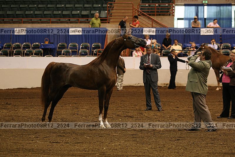 Proof 08r12_2524