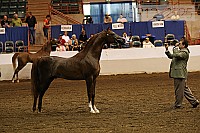 08r12_2525 proof