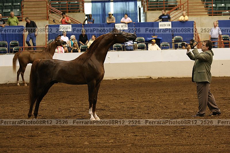 Proof 08r12_2526