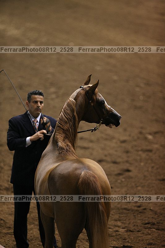 Proof 08r12_2528