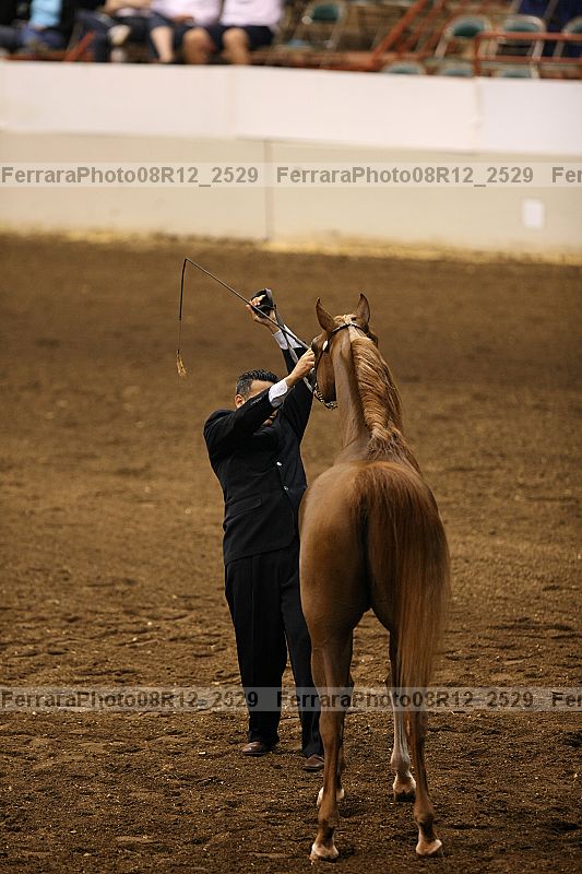 Proof 08r12_2529
