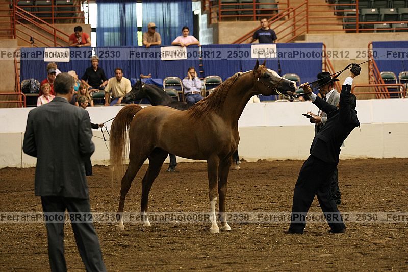 Proof 08r12_2530