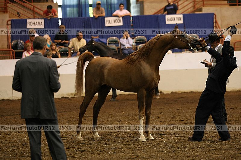 Proof 08r12_2531