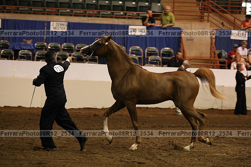 Proof 08r12_2534
