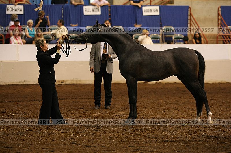 Proof 08r12_2537