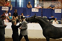 08r12_2538 proof