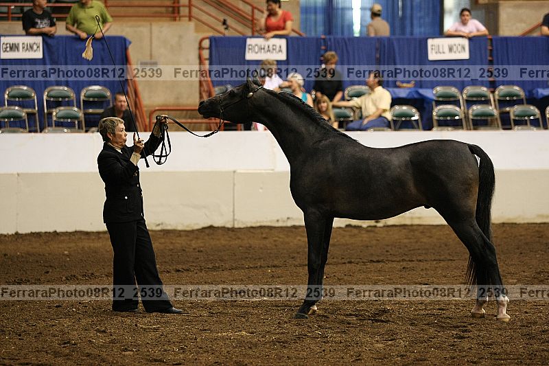 Proof 08r12_2539
