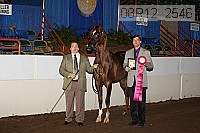 08r12_2546 proof