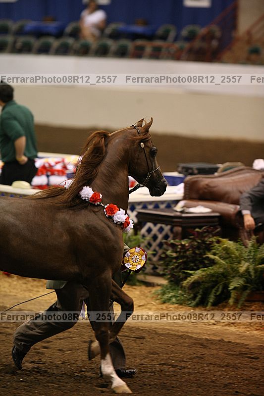 Proof 08r12_2557