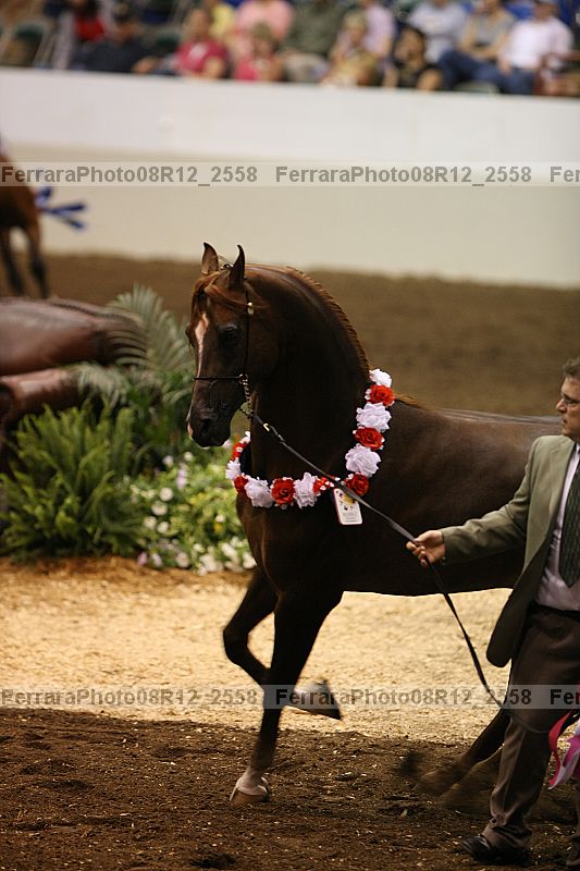 Proof 08r12_2558