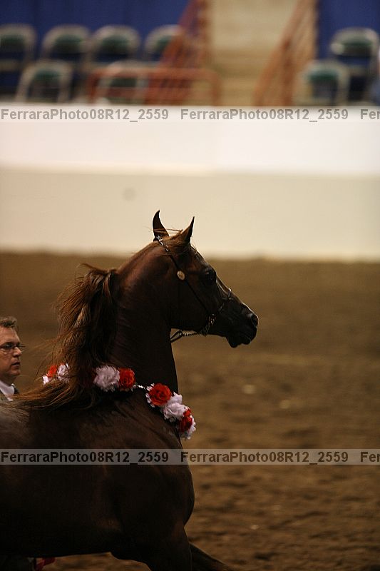 Proof 08r12_2559
