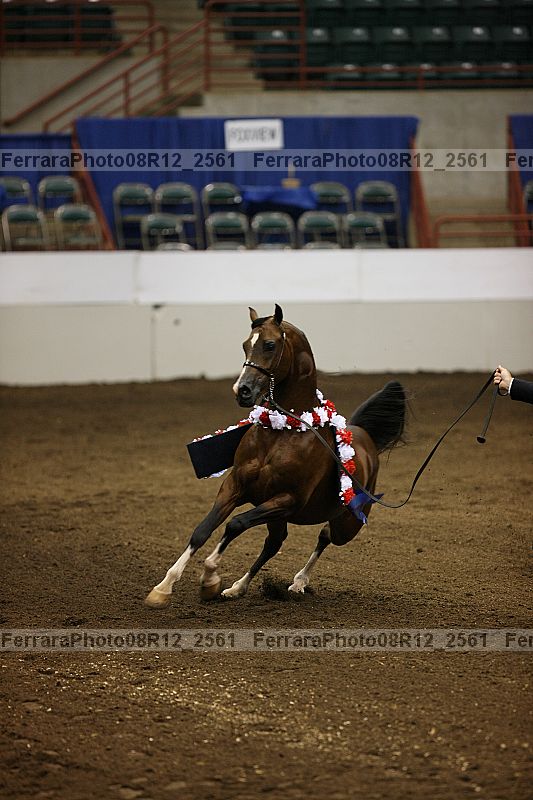 Proof 08r12_2561