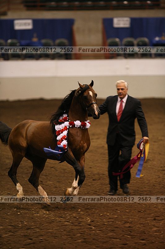 Proof 08r12_2562