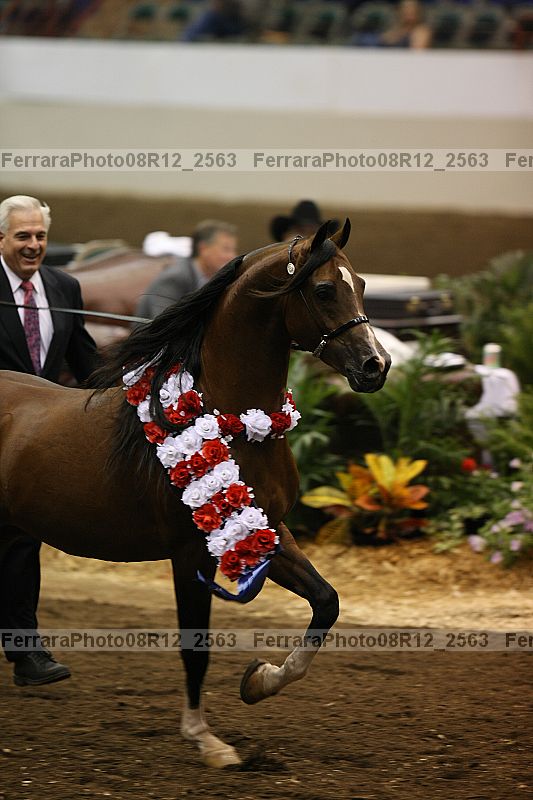 Proof 08r12_2563